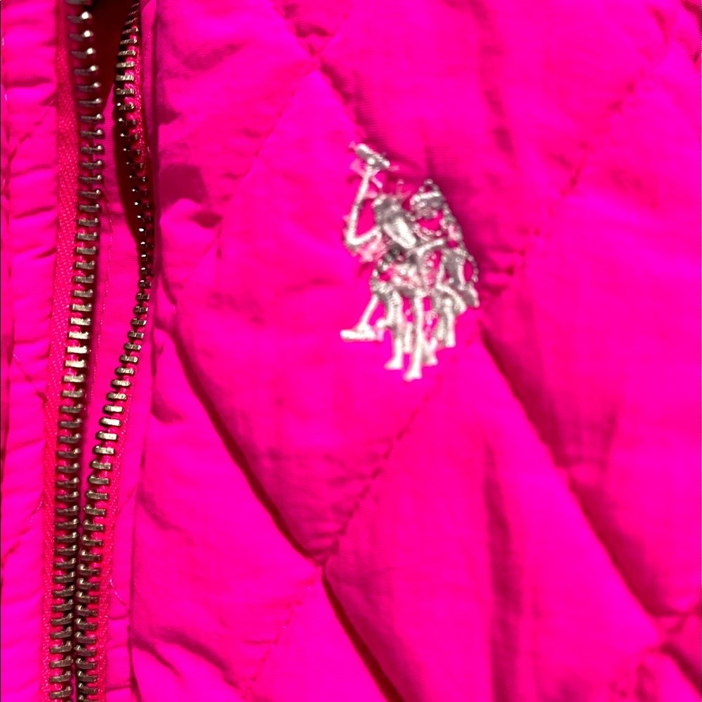 Perfect Puffer Vest from US POLO ASSN